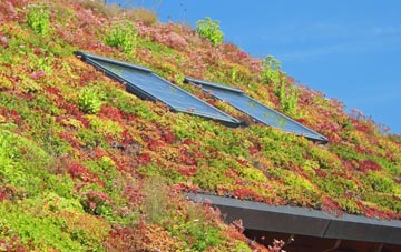 Hazelbank living roof systems